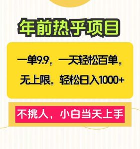 一单9.9，一天百单无上限，不挑人，小白当天上手，轻松日入1000+-数智网创