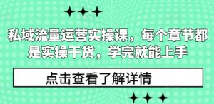 私域流量运营实操课，每个章节都是实操干货，学完就能上手-数智网创
