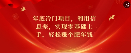 年底冷门项目，利用信息差，实现零基础上手，轻松赚个肥年钱【揭秘】-数智网创