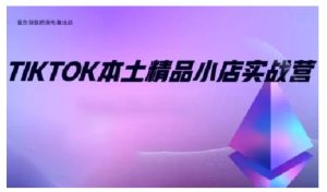 TikTok本土精品小店出海实战营，从入门到高阶，不止0-1!-数智网创
