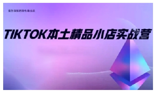 TikTok本土精品小店出海实战营，从入门到高阶，不止0-1!-数智网创