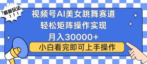 视频号蓝海赛道玩法，当天起号，拉爆流量收益，小白也能轻松月入30000+-数智网创