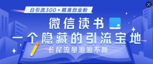 微信读书，一个隐藏的引流宝地，不为人知的小众打法，日引流300+精准创业粉，长尾流量源源不断-数智网创