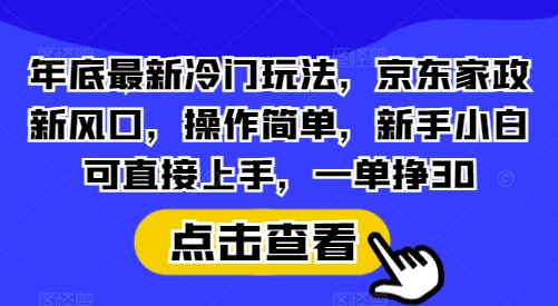 年底最新冷门玩法，京东家政新风口，操作简单，新手小白可直接上手，一单挣30【揭秘】-数智网创