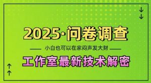 2025问卷调查最新工作室技术解密:一个人在家也可以闷声发大财,小白一天2张,可矩阵放大【揭秘】-数智网创