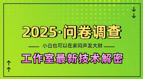2025问卷调查最新工作室技术解密:一个人在家也可以闷声发大财,小白一天2张,可矩阵放大【揭秘】-数智网创