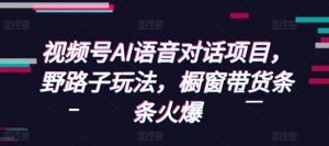 视频号AI语音对话项目,野路子玩法,橱窗带货条条火爆-数智网创