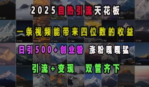 2025自热引流天花板，一条视频能带来四位数的收益，引流+变现双管齐下，日引500+创业粉，涨粉嘎嘎猛-数智网创