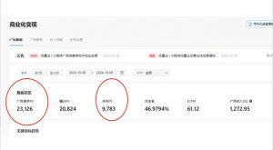 抖音雪花无人直播,一天躺赚3000+,0粉手机可搭建,不违规不限流,小白...-数智网创