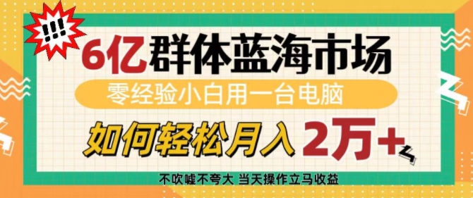 6亿群体蓝海市场,零经验小白用一台电脑,如何轻松月入过w【揭秘】-数智网创