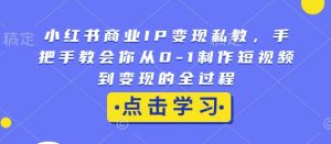 小红书商业IP变现私教，手把手教会你从0-1制作短视频到变现的全过程-数智网创