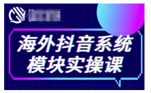 海外抖音Tiktok系统模块实操课,TK短视频带货,TK直播带货,TK小店端实操等-数智网创
