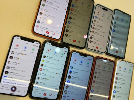 首发揭秘小红书私域日引500+创业粉四大模板,月入过W+全程干货!没有废话!保姆教程!-数智网创