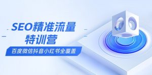 SEO精准流量特训营，百度微信抖音小红书全覆盖，带你搞懂搜索优化核心技巧-数智网创