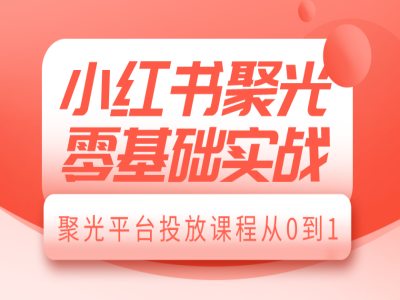 小红书聚光零基础实战，聚光平台投放课程从0到1-数智网创