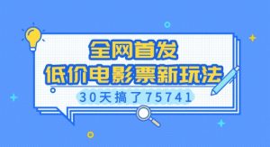 全网首发，低价电影票新玩法，已有人30天搞了75741【揭秘】-数智网创