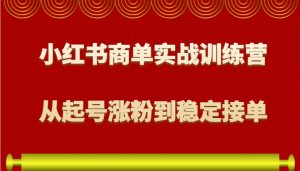 小红书商单实战训练营，从0到1教你如何变现，从起号涨粉到稳定接单，适合新手-数智网创