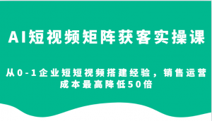AI短视频矩阵获客实操课,从0-1企业短短视频搭建经验,销售运营成本最高降低50倍-数智网创