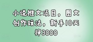 小说推文项目，图文创作玩法，新手10天挣3000-数智网创