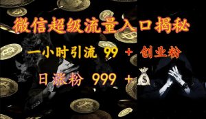 微信超级流量入口揭秘：一小时引流 99 + 创业粉，日涨粉 999 +-数智网创