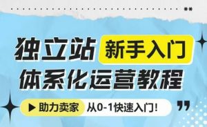 独立站新手入门体系化运营教程，助力独立站卖家从0-1快速入门!-数智网创