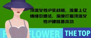 顶流女性IP实战班，流量上亿情绪引爆法，深度打磨顶流女性IP硬核基本功-数智网创