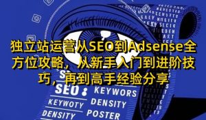 独立站运营从SEO到Adsense全方位攻略,从新手入门到进阶技巧,再到高手经验分享-数智网创