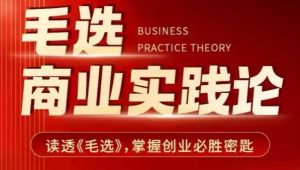 毛选商业实践论，读透《毛选》掌握创业必胜密匙-数智网创