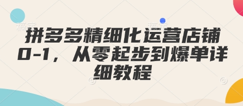 拼多多精细化运营店铺0-1,从零起步到爆单详细教程-数智网创