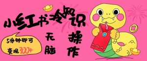 小红书冷知识账号,无脑复制粘贴,5分钟即可变现3张-数智网创