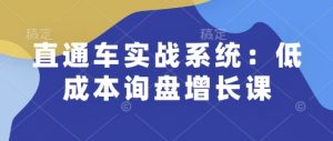 直通车实战系统:低成本询盘增长课,让个人通过技能实现升职加薪,让企业低成本获客,订单源源不断-数智网创