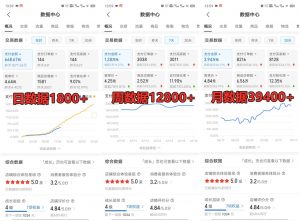 拼多多虚拟店铺项目，电脑挂机自动发货，单店日利润300+-数智网创