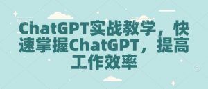 ChatGPT实战教学,快速掌握ChatGPT,提高工作效率-数智网创