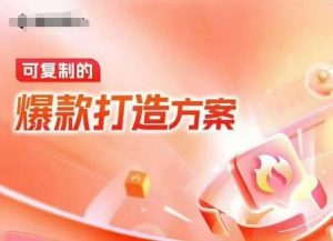 天猫电商爆款运营，可复制的爆款打造方案(线下内训课录音+字幕)-数智网创