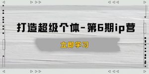 打造 超级个体-第6期ip营:商业认知,产品设计,成交演练,解决知识变现难题-数智网创