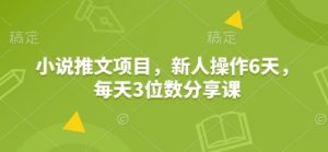 小说推文项目，新人操作6天，每天3位数分享课-数智网创