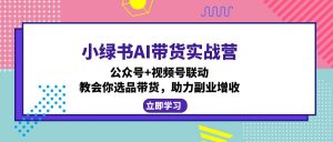 小绿书AI带货实战营：公众号+视频号联动，教会你选品带货，助力副业增收-数智网创