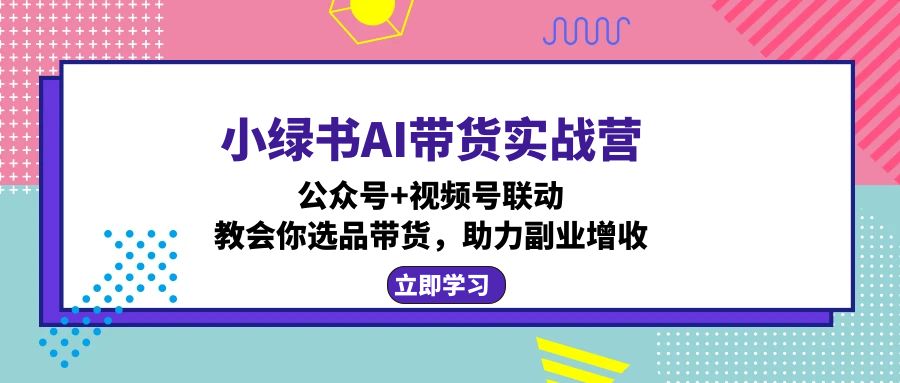 小绿书AI带货实战营：公众号+视频号联动，教会你选品带货，助力副业增收-数智网创