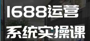 1688高阶运营系统实操课，快速掌握1688店铺运营的核心玩法-数智网创