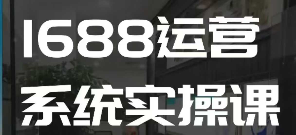 1688高阶运营系统实操课，快速掌握1688店铺运营的核心玩法-数智网创