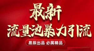 最新“流量池”无门槛暴力引流(全网首发)日引500+-数智网创