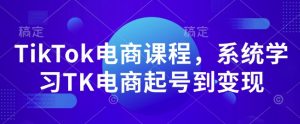 TikTok电商课程，​系统学习TK电商起号到变现-数智网创