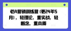 老A营销训练营(更25年1月)，轻理论，重实战，轻概念，重本质-数智网创