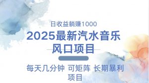 2025最新汽水音乐躺赚项目 每天几分钟 日入1000＋-数智网创