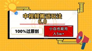 中视频搬运玩法6.0,利用软件双重去重,100%过原创,小白也能月入5w+-数智网创