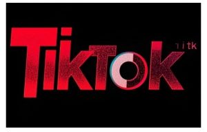 TikTok ads投流秘籍，涵盖tiktok整体投放思路，教你搭建测试计划-数智网创