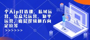 个人ip打造课，私域运营，公众号运营，知乎运营，底层逻辑和方向定位等-数智网创