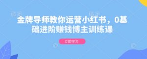金牌导师教你运营小红书，0基础进阶赚钱博主训练课-数智网创