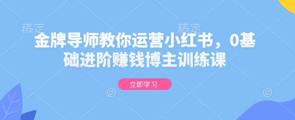 金牌导师教你运营小红书，0基础进阶赚钱博主训练课-数智网创