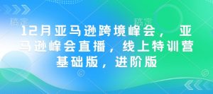 12月亚马逊跨境峰会, 亚马逊峰会直播,线上特训营基础版,进阶版-数智网创
